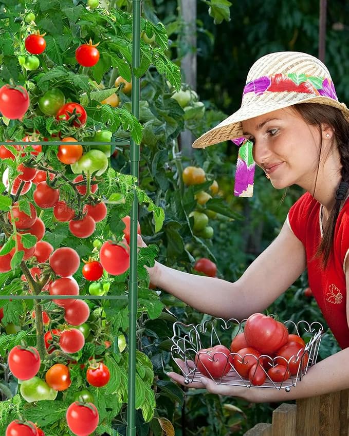 6 Pack Tomato Cages for Garden, 51in*13in Adjustable Tomatoes Plant Stakes - Image 9