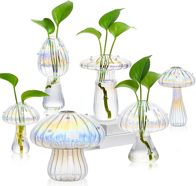 Terrarium Propagation Station Set of 6, Clear Borosilicate Glass Vases