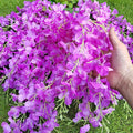 Artificial Flowers: 24 Purple Wisteria Vines, 3.75 Ft Each