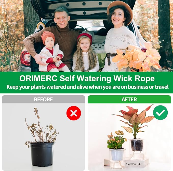 ORIMERC 12 Pack 3 inch Net Cups Pots - Image 9