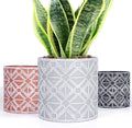 Plant Pots, Set of Indoor Plant pots, Plastic Planter by LOKEISNA