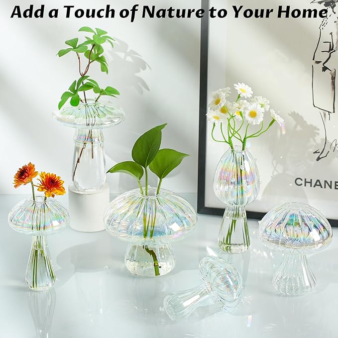 Terrarium Propagation Station Set of 6, Clear Borosilicate Glass Vases