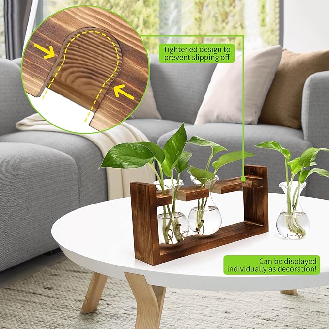 Terrarium Propagation Station with Three Glass Bulb Bottles and Wooden Stand