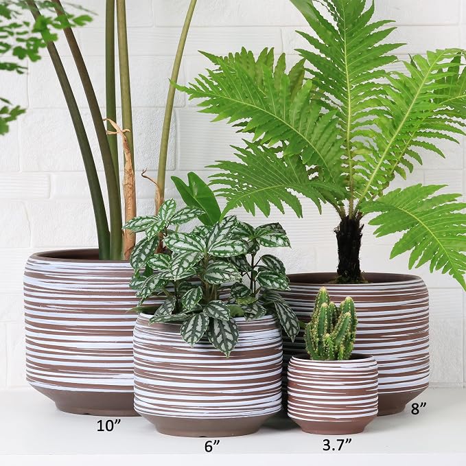 8 Inch + 6 Inch Ceramic Plant Pots Indoor - Image 7