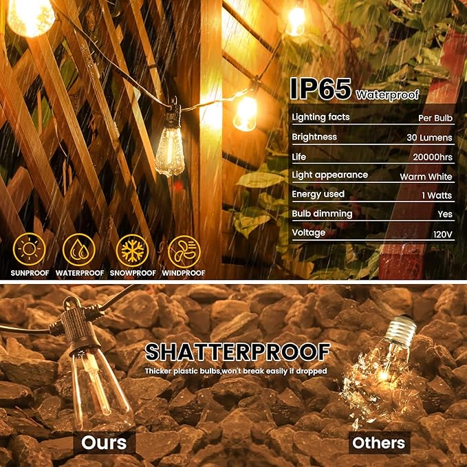 String Lights 25 ft Outdoor Warm White with 12 Vintage Edison Bulbs