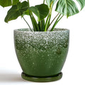 Ceramic Pots for Plants by EPFamily