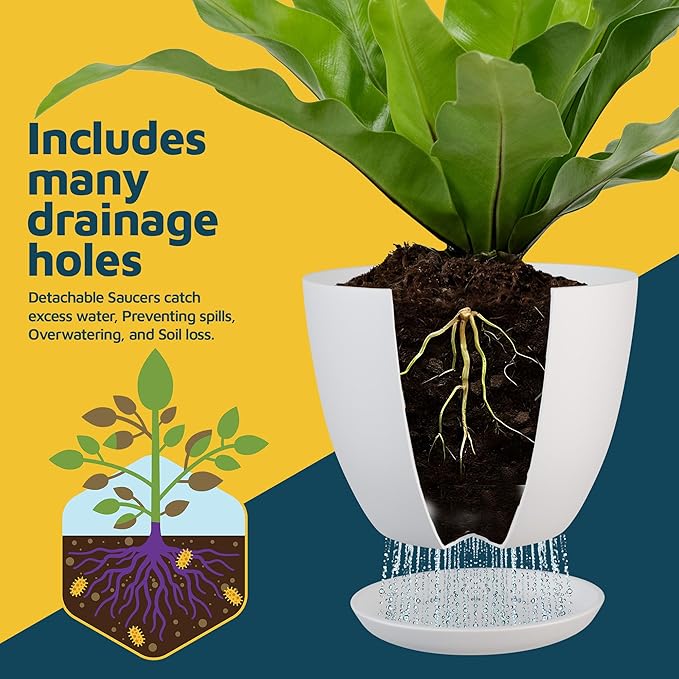 Multicolor Plant Pots with Drainage Holes & Saucers 5 Pack, Indoor & Outdoor - Image 6