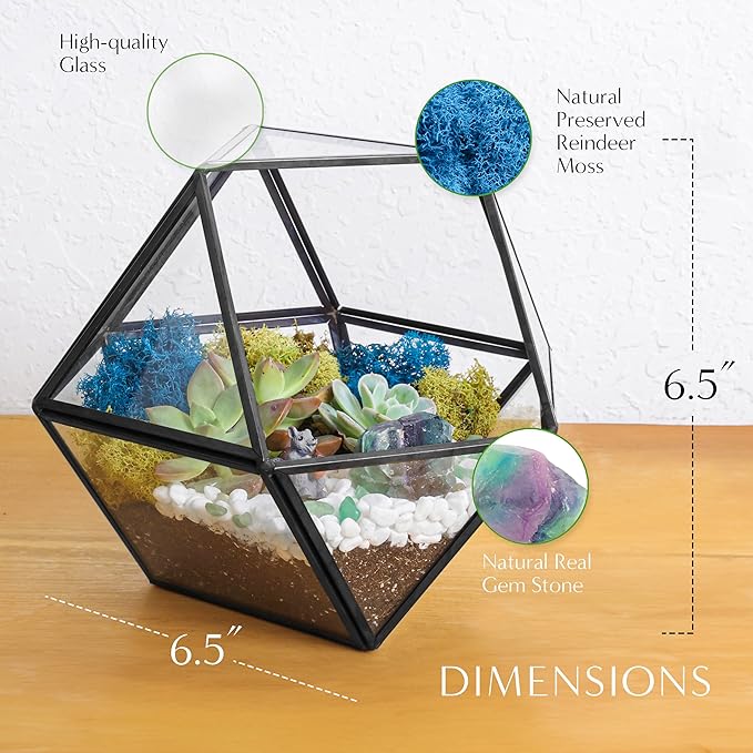 Terrarium Kit with 7-Inch Geometric Glass Dodecahedron, Moss and Crystals
