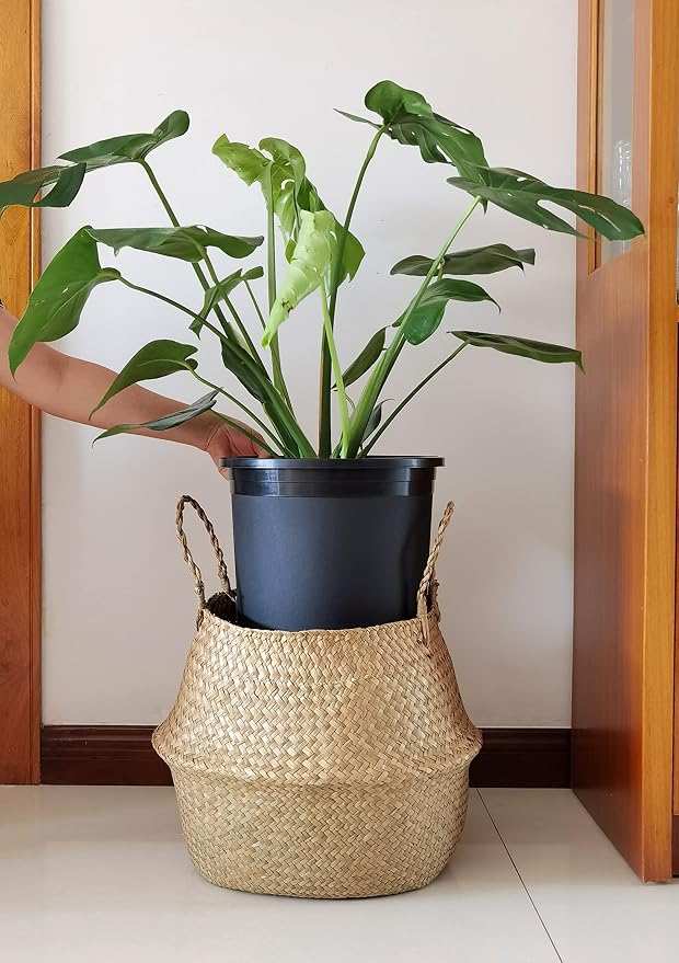 5 Gallon 10-Pack Nursery Pot Black Plastic Planters - Image 6