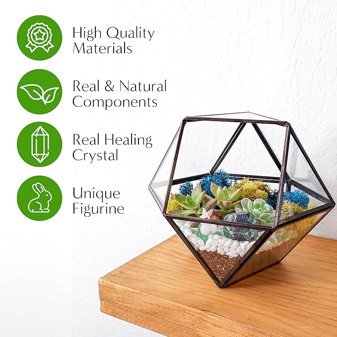 Terrarium Kit with 7-Inch Geometric Glass Dodecahedron, Moss and Crystals