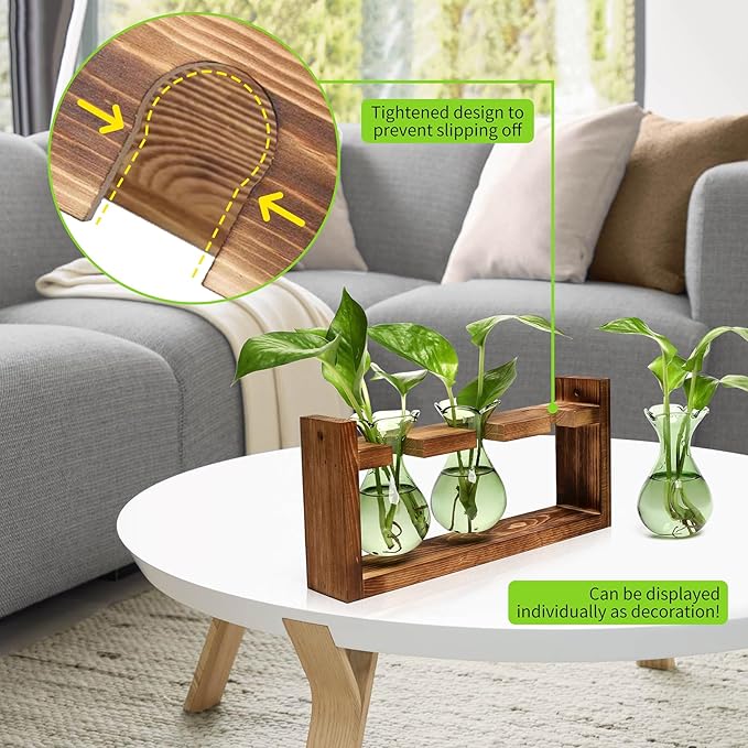 Terrarium Propagation Station, 3 Borosilicate Glass Bulbs with Wooden Stand