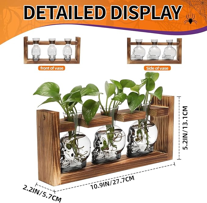 Terrarium Skull Glass Propagation Station Set with Wood Stand, 3 Pieces