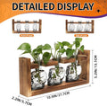 Terrarium Skull Glass Propagation Station Set with Wood Stand, 3 Pieces