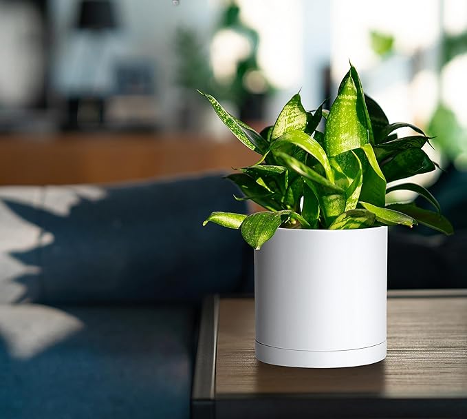 Planters Set of 4 Matte White Plastic Plant Pots with Drainage and Saucers
