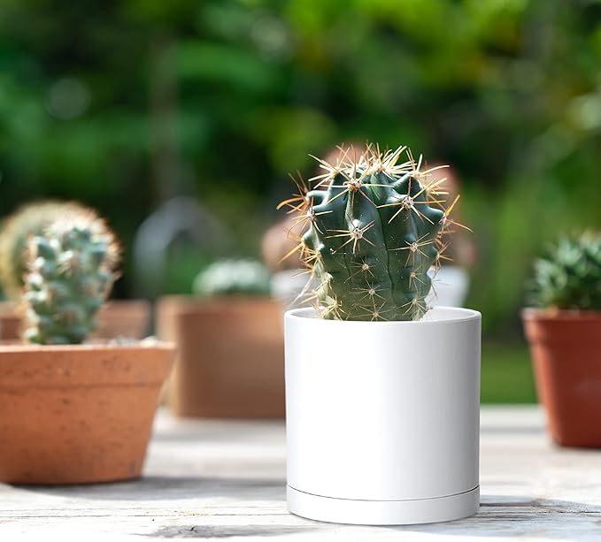 Planters: 12 Pack of 3.5 Inch Matte White Plastic Pots with Saucers