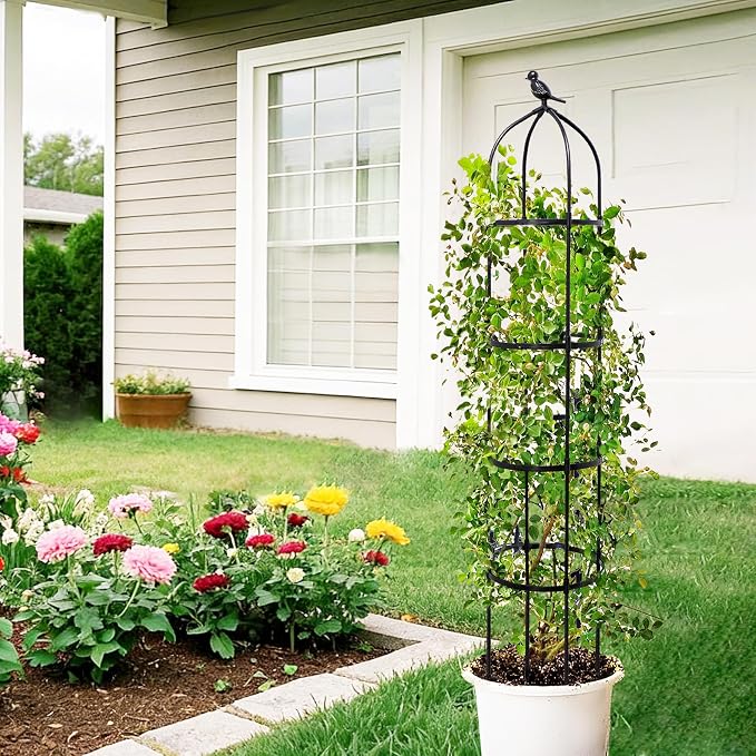 4-Pack 6FT Garden Obelisk Trellis - Image 7