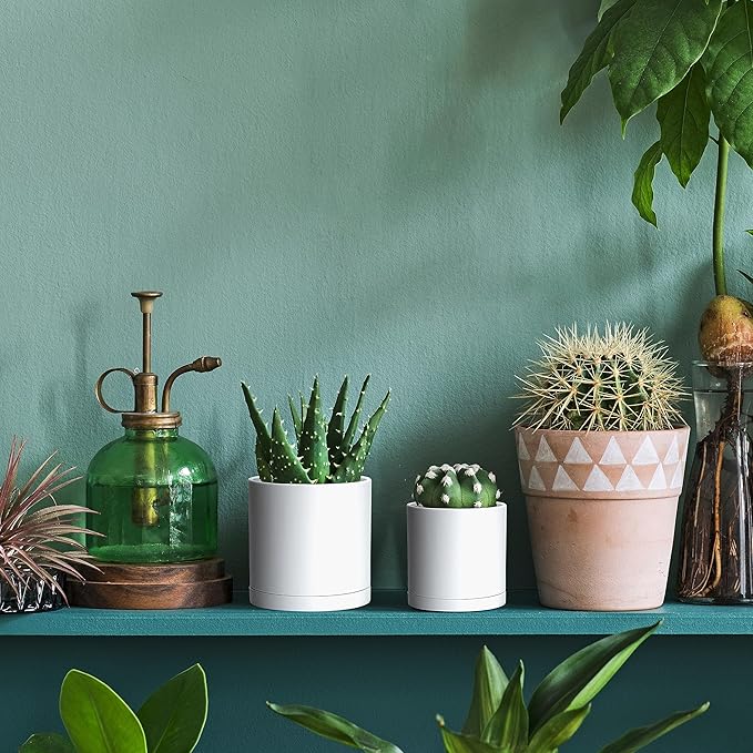 Planters: 12 Pack of 3.5 Inch Matte White Plastic Pots with Saucers