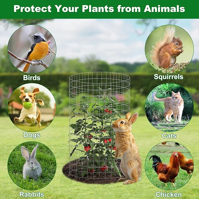Plant Cages Supports - 12 Set Galvanized Wire Garden Protectors, 16x12 Inch