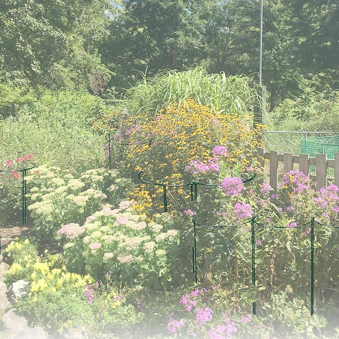 Plant Support Cages, 12 Half Round Green Iron Stakes with Ties