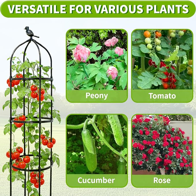 6.7FT Garden Obelisk Trellis for Climbing Plants, Adjustable 5-Tier Metal Plant - Image 6
