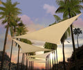 Amgo Custom Size 17' x 17' x 17' Beige Triangle Sun Shade Sail Order to Make by Amgo