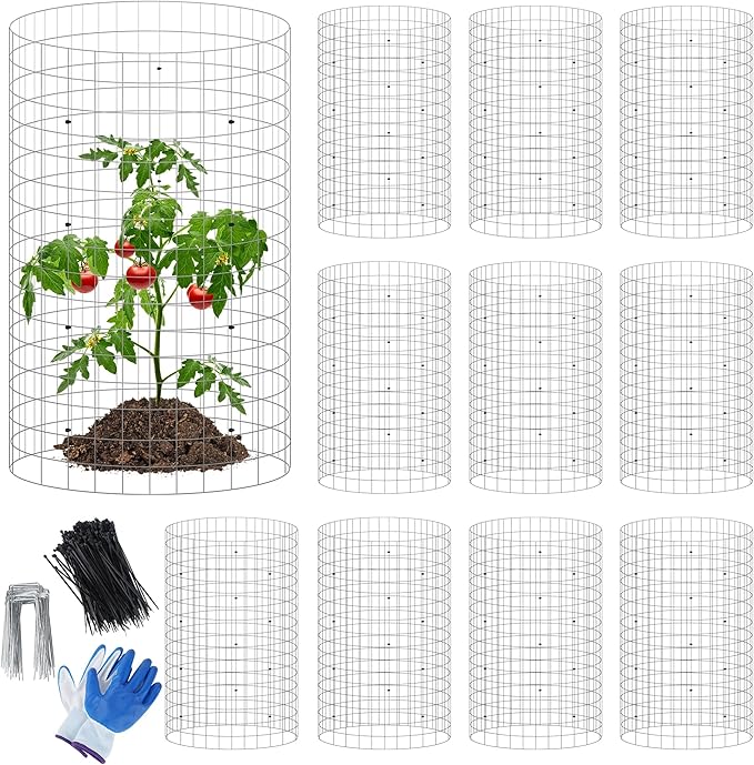 Plant Cages Supports - 12 Set Galvanized Wire Garden Protectors, 16x12 Inch