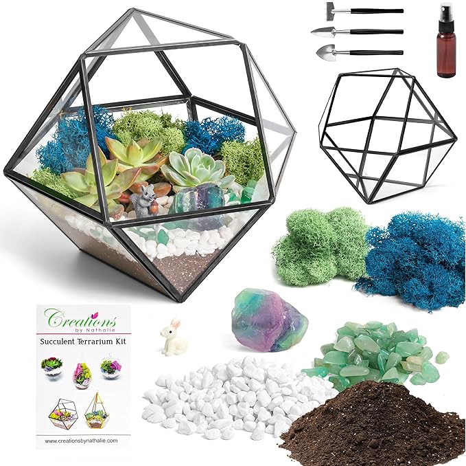 Terrarium Kit with 7-Inch Geometric Glass Dodecahedron, Moss and Crystals