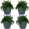 Sunnydaze 24-Inch Anjelica Large Plastic Pot by SunnydazeDecor