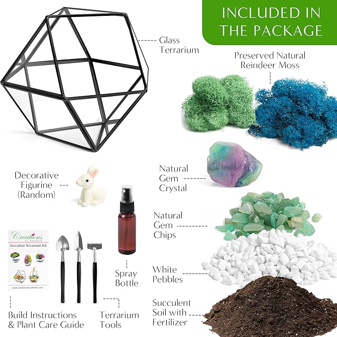 Terrarium Kit with 7-Inch Geometric Glass Dodecahedron, Moss and Crystals