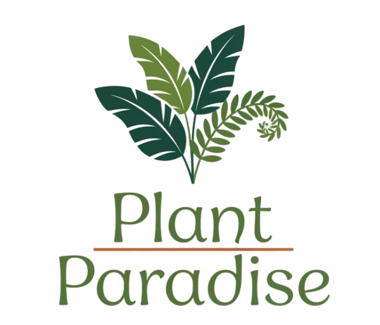 Plant Paradise